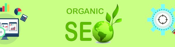 Organic SEO Services USA