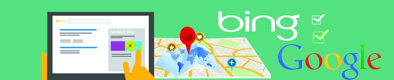 Bing, Google Organic SEO Services
